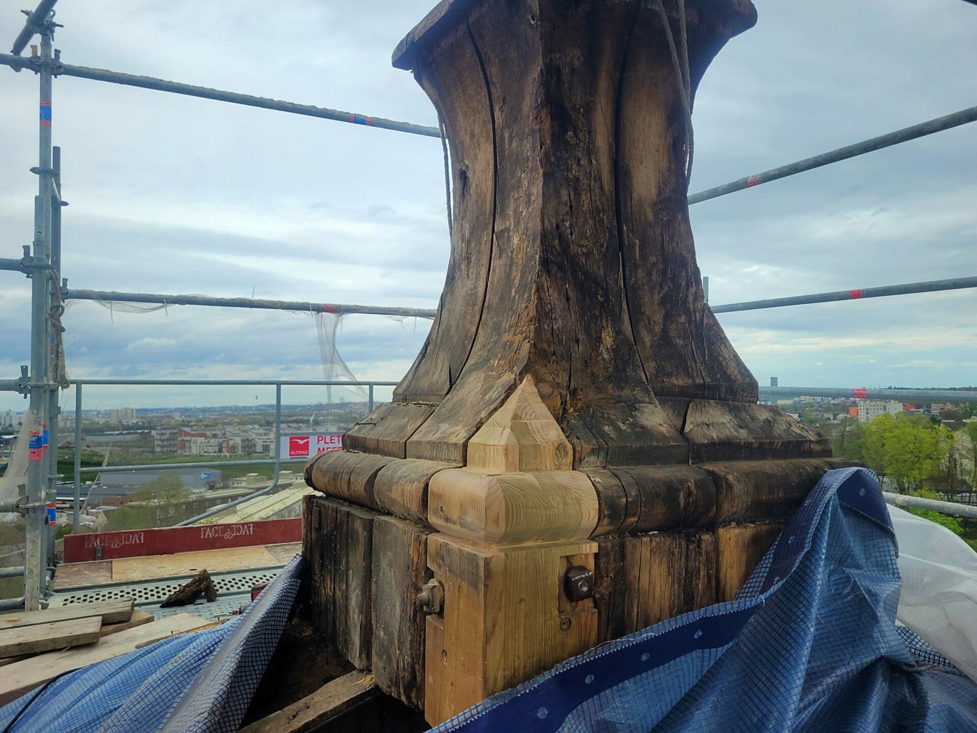 Greffe en chene sur epi de faitage deglise, Valenton, 2024