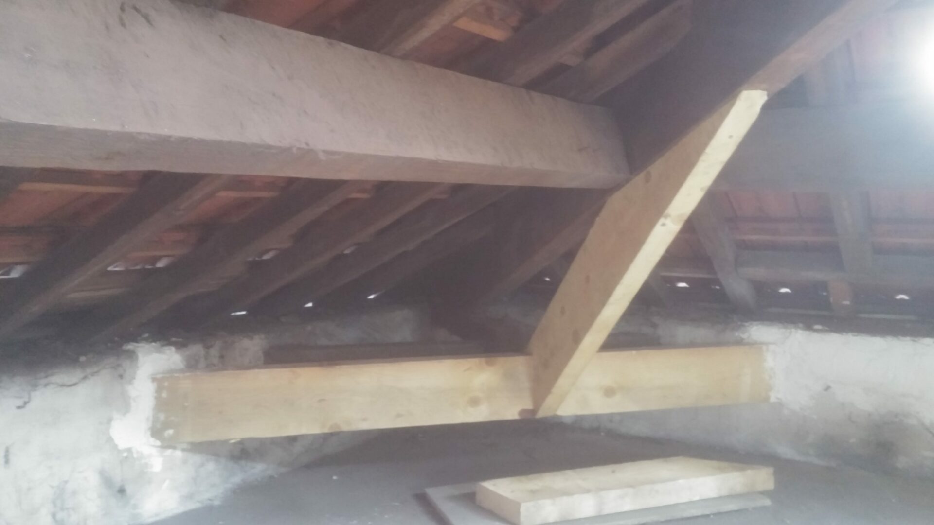 Renforcement d'un pied d'arretier, Panin, 2018